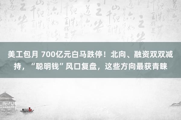 美工包月 700亿元白马跌停！北向、融资双双减持，“聪明钱”风口复盘，这些方向最获青睐