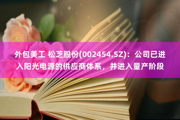 外包美工 松芝股份(002454.SZ)：公司已进入阳光电源的供应商体系，并进入量产阶段