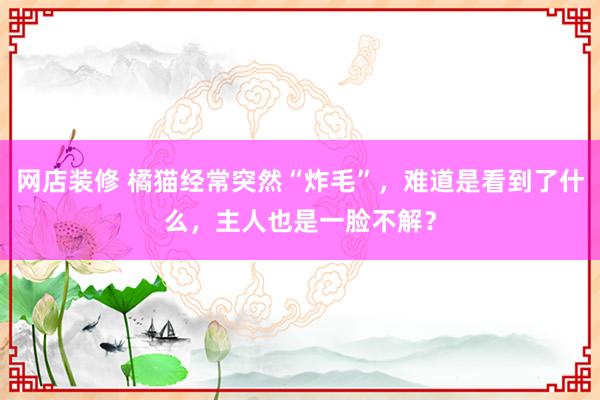 网店装修 橘猫经常突然“炸毛”，难道是看到了什么，主人也是一脸不解？